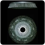 Optez pour la monobrosse WIRBEL JOLLY 18L 220V et optimisez votre nettoyage. Avec une pression des brosses de 35-45 kg et un rendement théorique de 250 mq/h, elle offre un réservoir de solution de 12-18 L.